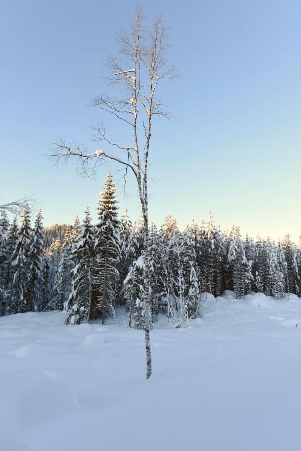 Fresh Familie Hytte Hemsedal Exteriör bild
