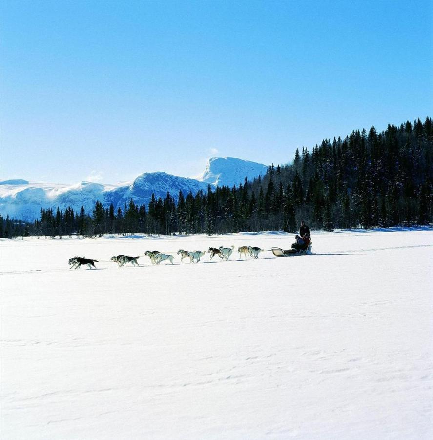 Fresh Familie Hytte Hemsedal Exteriör bild